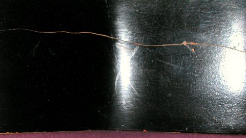 Stella Side Crack Close-Up